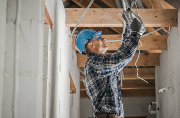 Best Electric Panel Repair  in Mound, MN