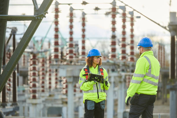 Best Electric Panel Repair  in Mound, MN